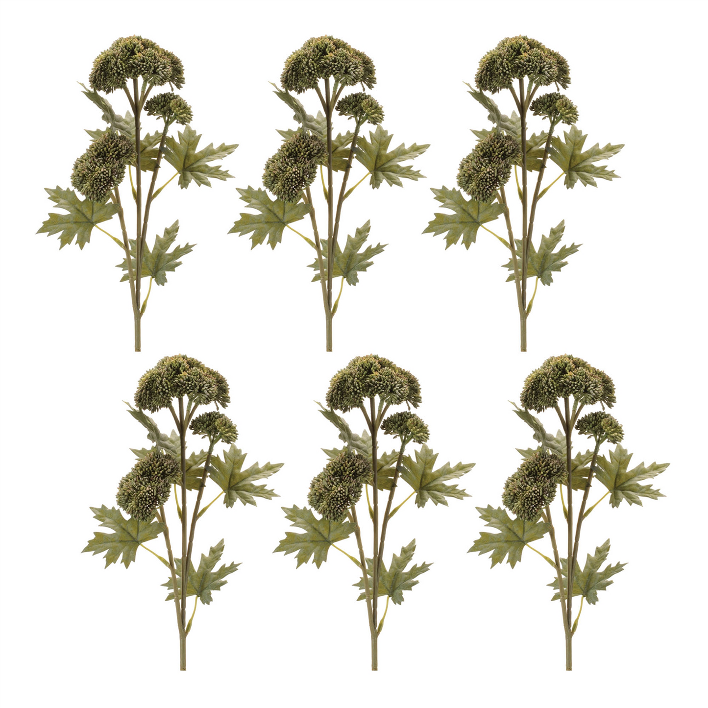 Sedum Succulent Spray (Set of 6)