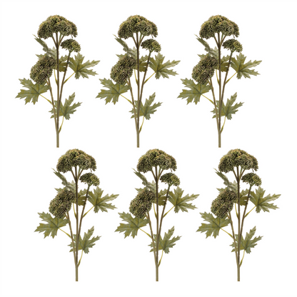 Sedum Succulent Spray (Set of 6)