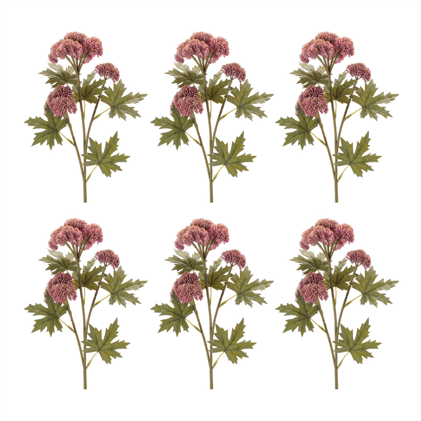 Sedum Succulent Spray (Set of 6)