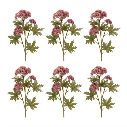 Sedum Succulent Spray (Set of 6)