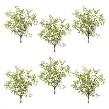 Mini Berry Spray Bundle (Set of 6)