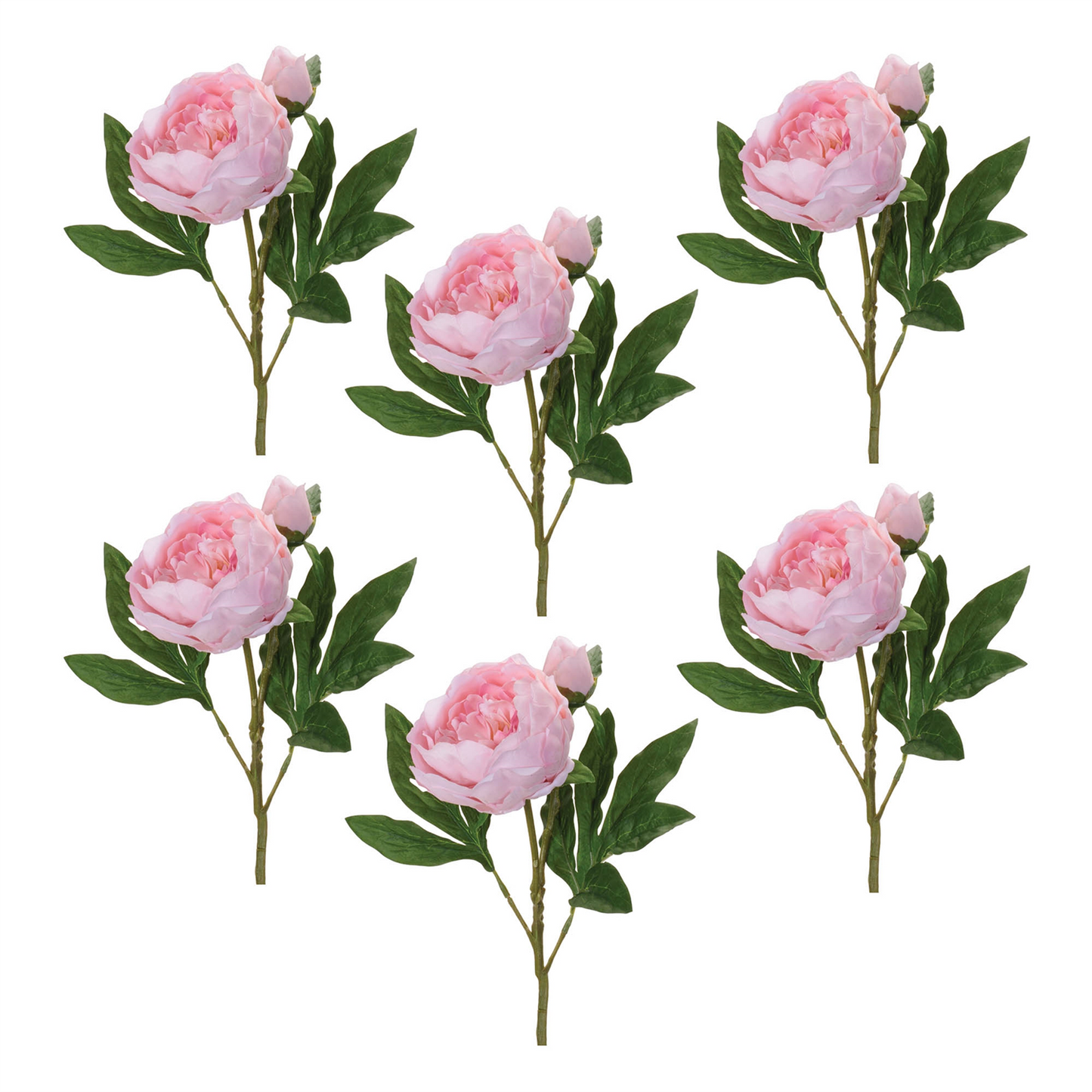 Peony Floral Spray (Set of 6)