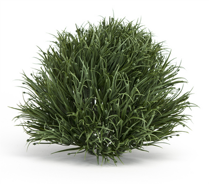 Spring Grass Half Orb (Set of 6)