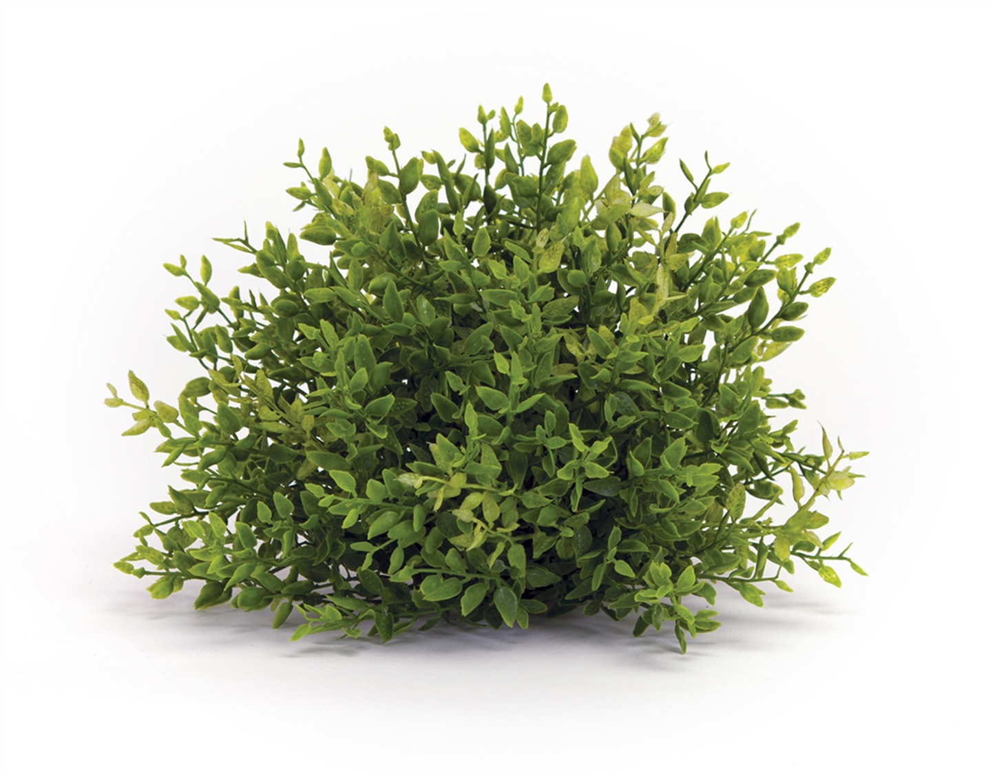 Spring Mini Leaf Foliage Half Orb (Set of 6)