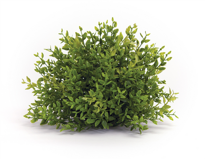 Spring Mini Leaf Foliage Half Orb (Set of 6)