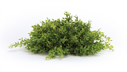 Spring Mini Leaf Foliage Half Orb (Set of 6)
