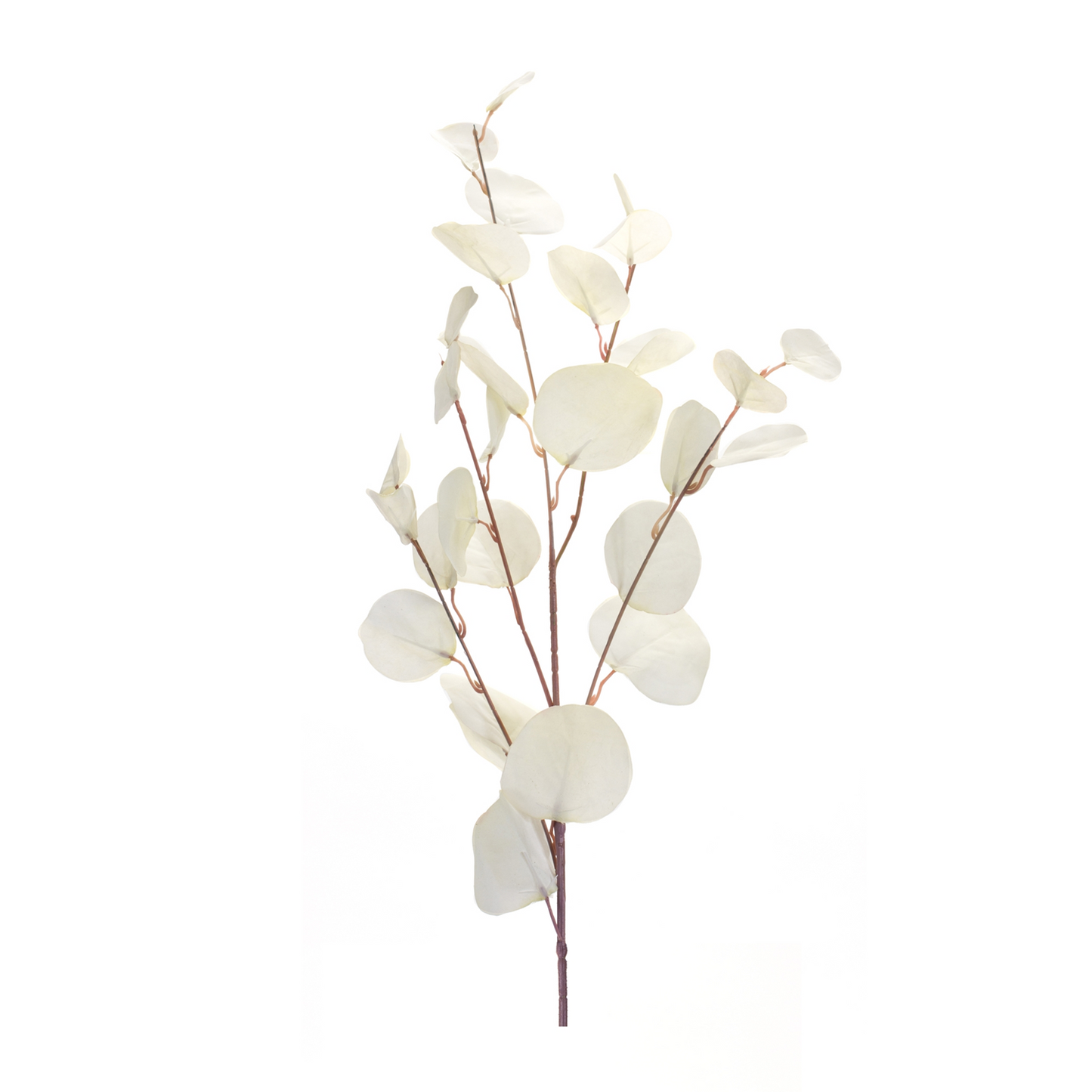 Ivory Silver Dollar Eucalyptus Leaf Spray (Set of 6)