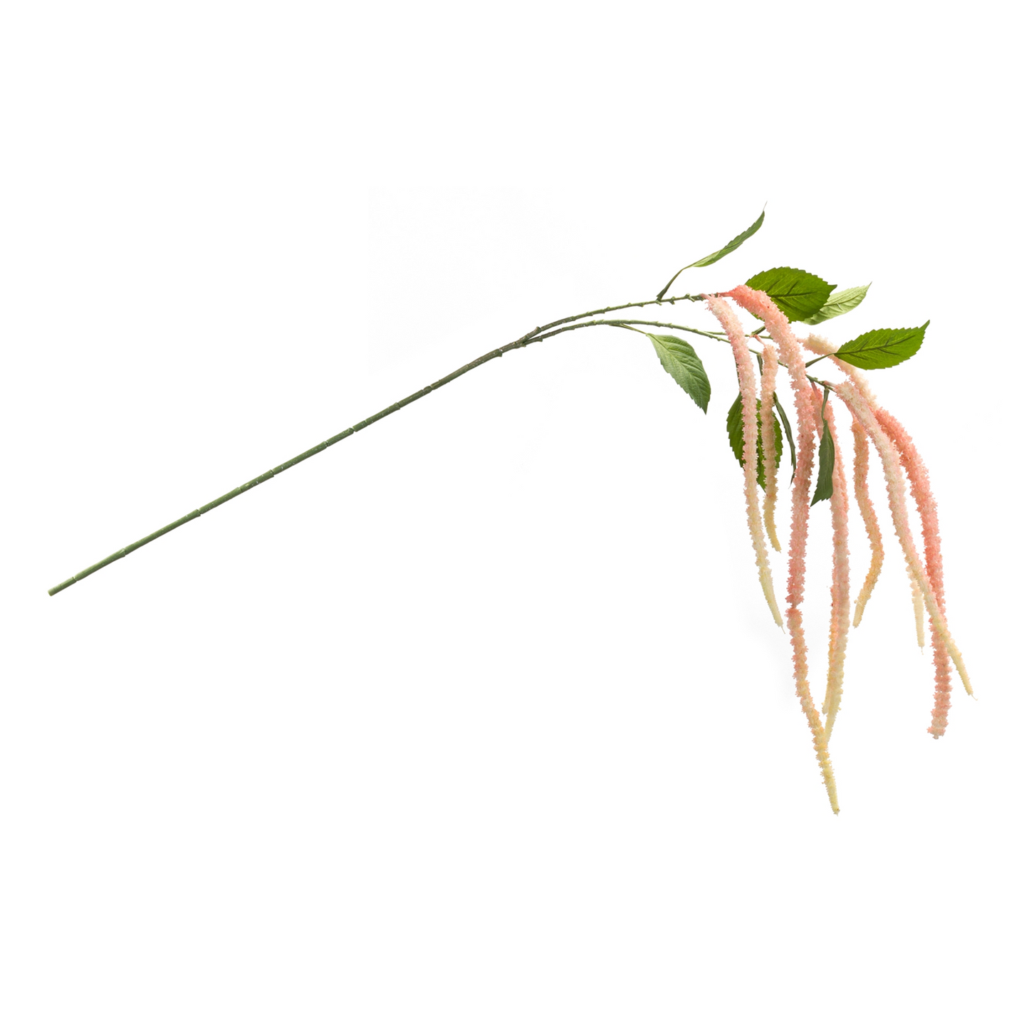 Amaranthus Floral Stem (Set of 4)