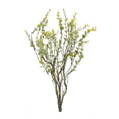 Boxwood Twig Foliage Spray (Set of 6)