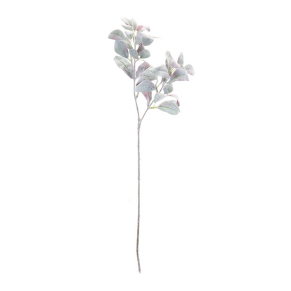Lamb's Ear Leaf Bush (Set of 6)