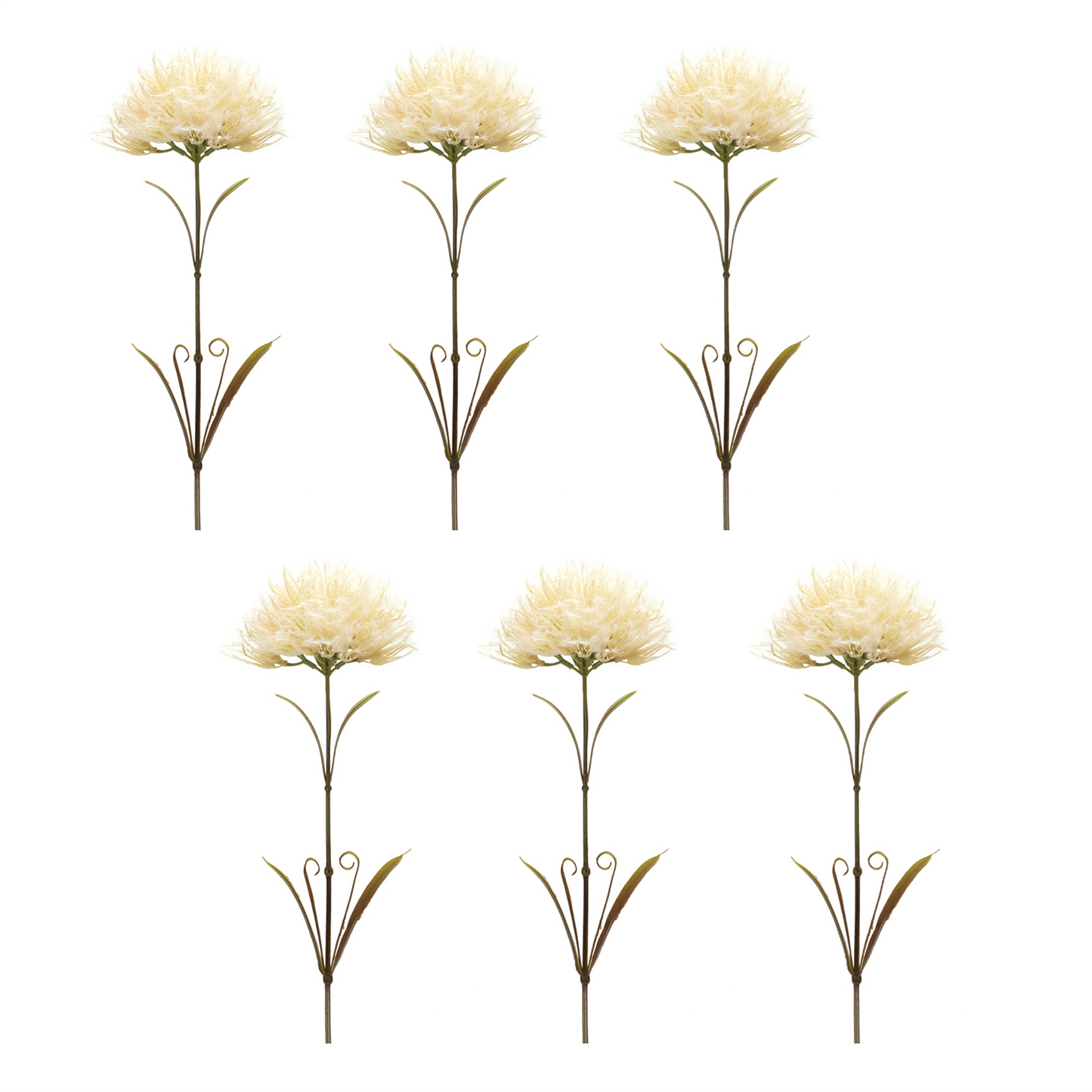Puff Flower Stem (Set of 6)