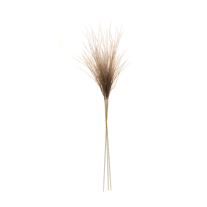 Grass Plume Bundle (Set of 2)