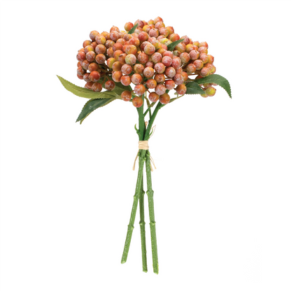 Orange Berry Bundle (Set of 2)
