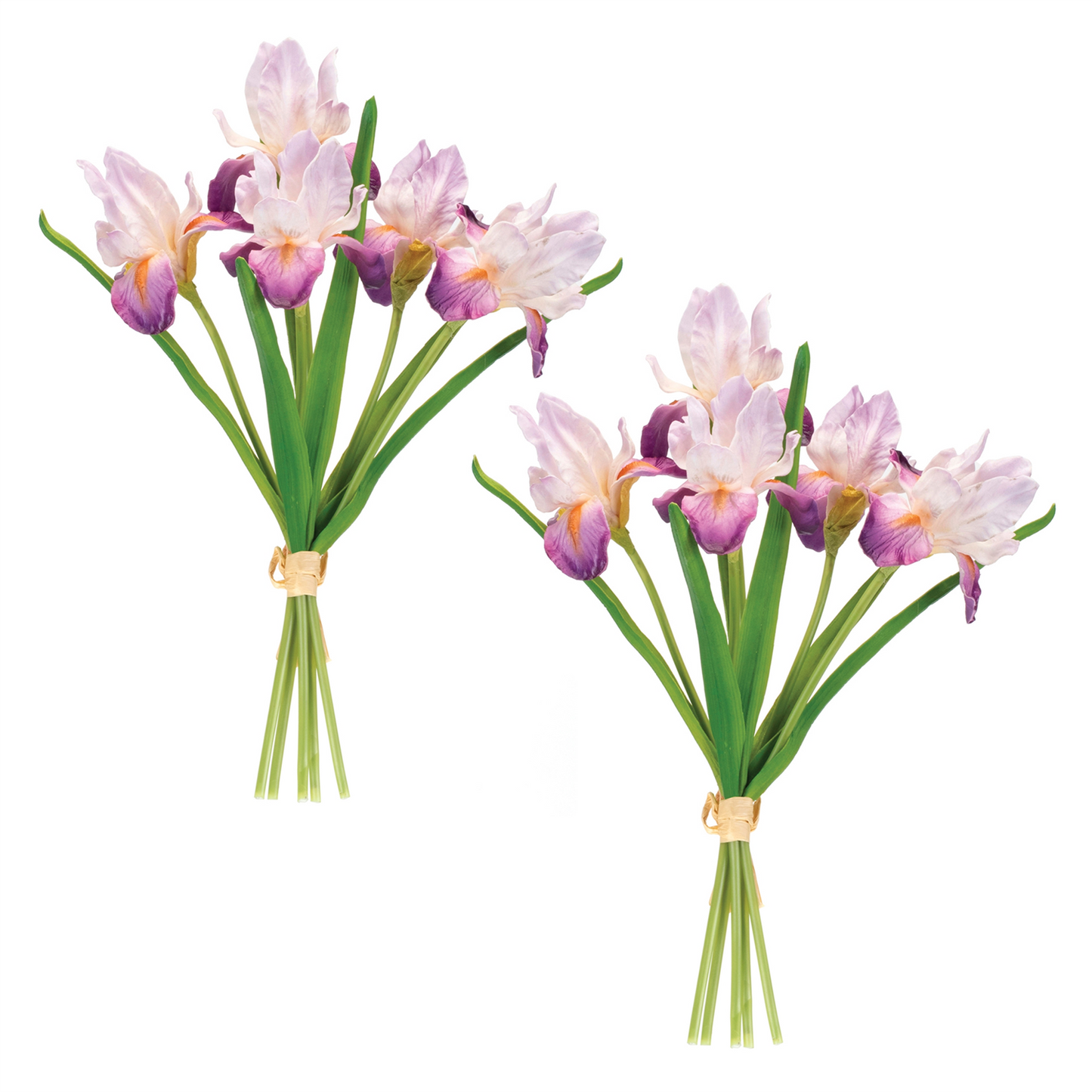 Purple Iris Floral Bundle (Set of 2)