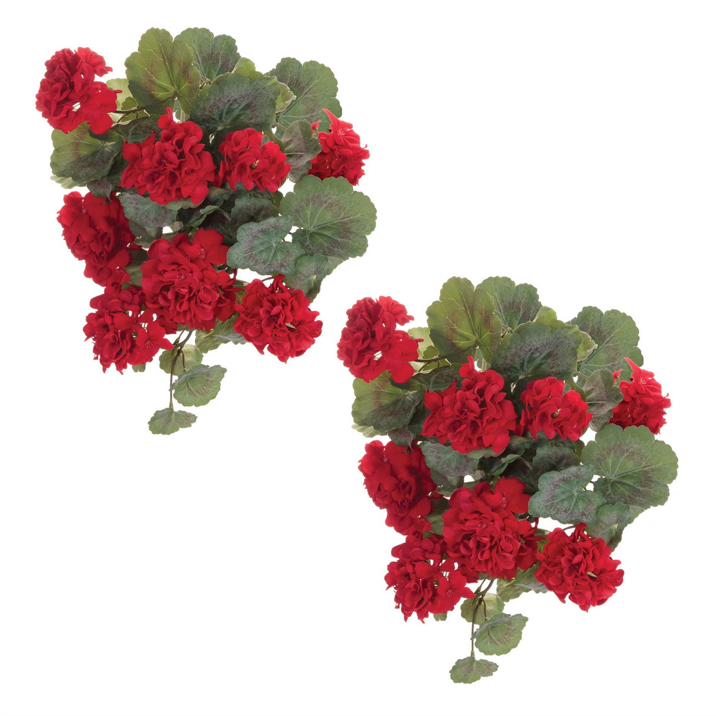 Hanging Geranium Floral Bush (Set of 2)