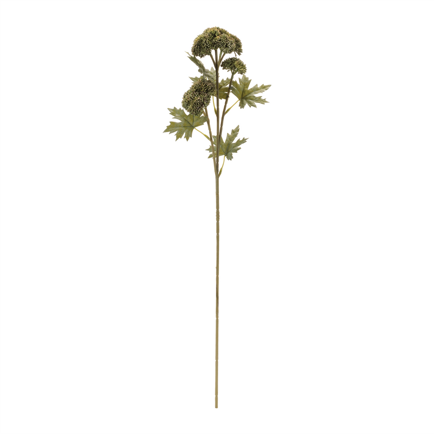 Sedum Succulent Spray (Set of 6)