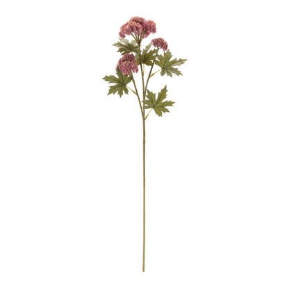 Sedum Succulent Spray (Set of 6)