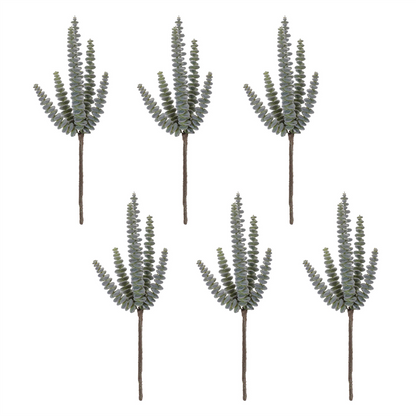 Succulent Plant Pick (Set of 6)