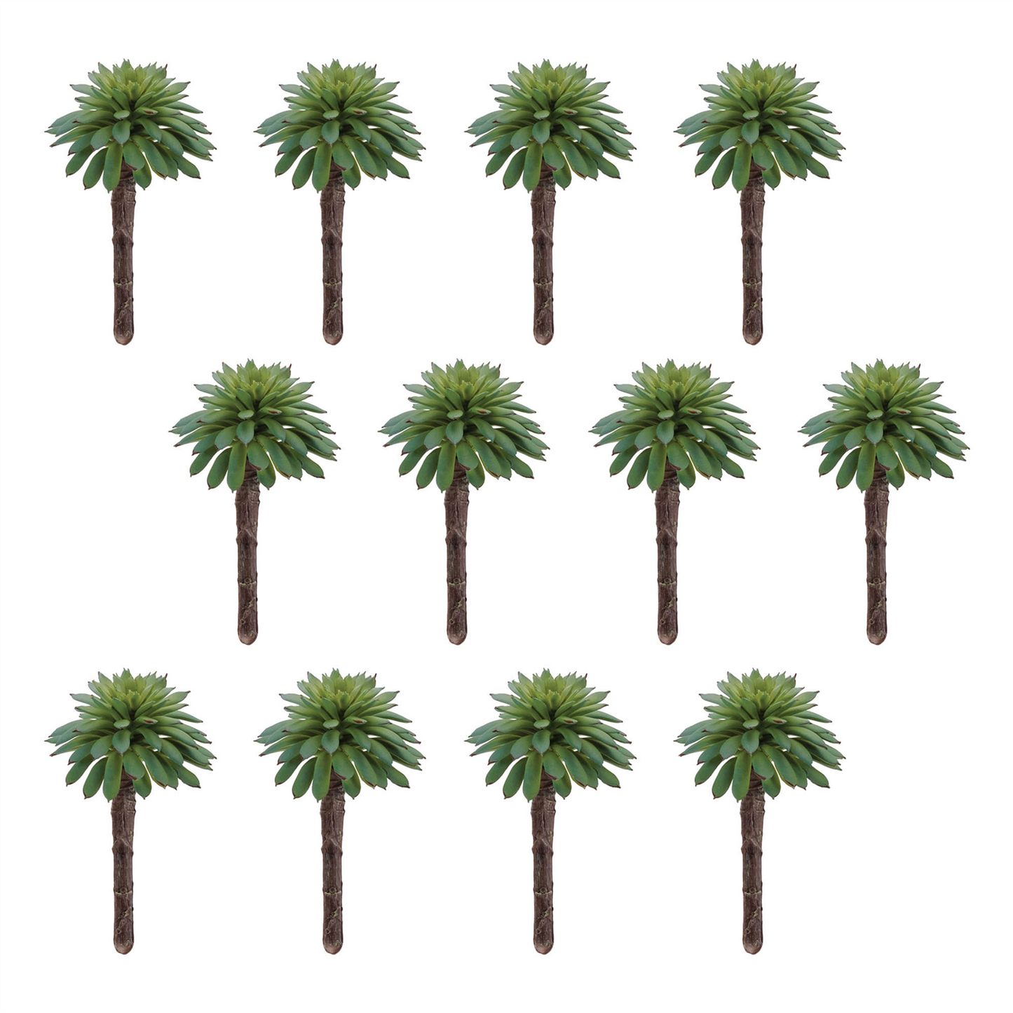 Succulent Plant Pick (Set of 12)