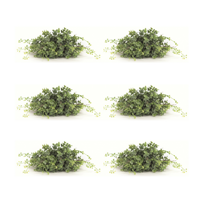 Spring Boxwood Foliage Half Orb (Set of 6)