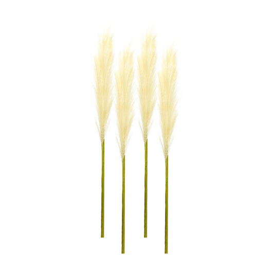 Cream Pampas Gass Stem (Set of 4)