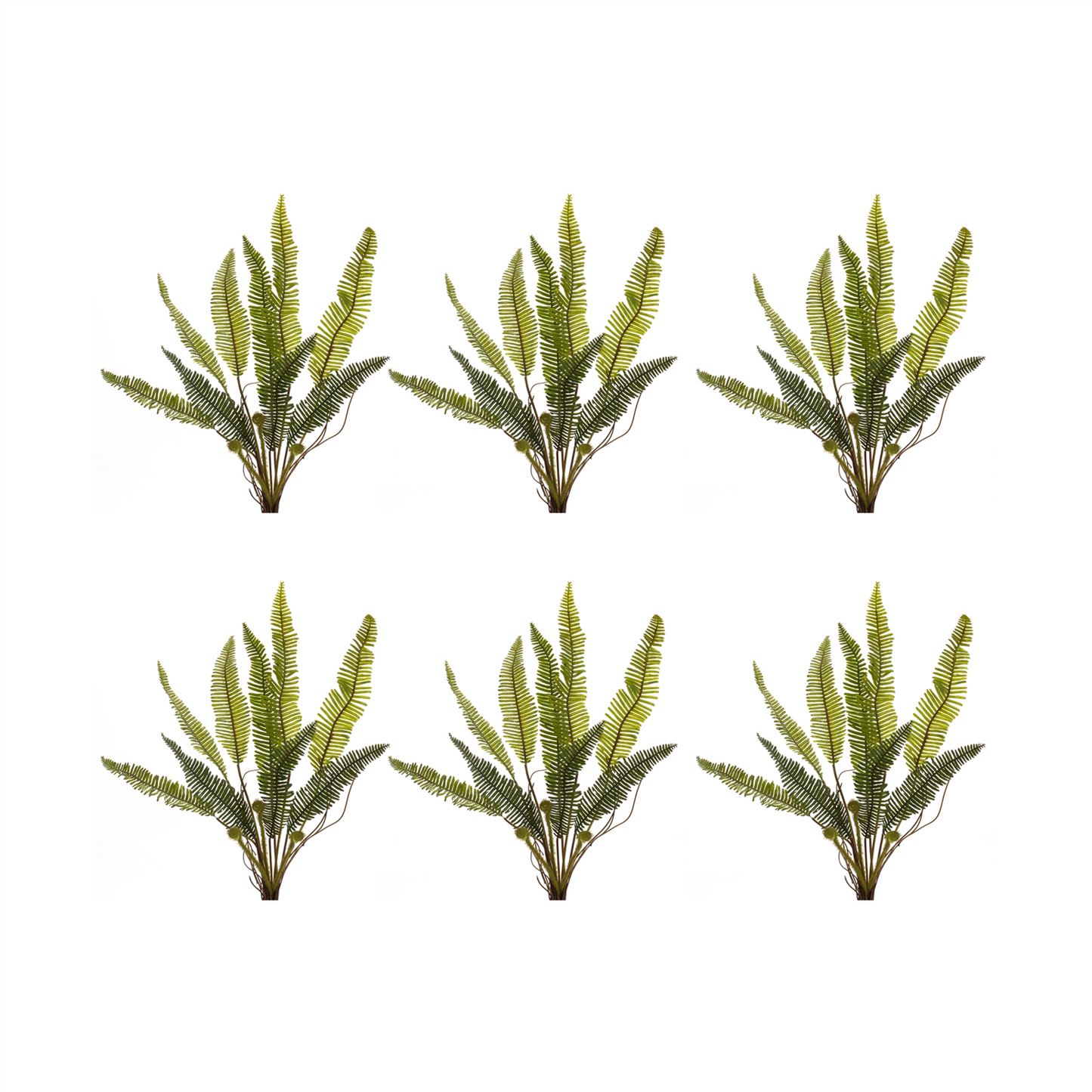 Varigated Fern Foliage Bush (Set of 6)