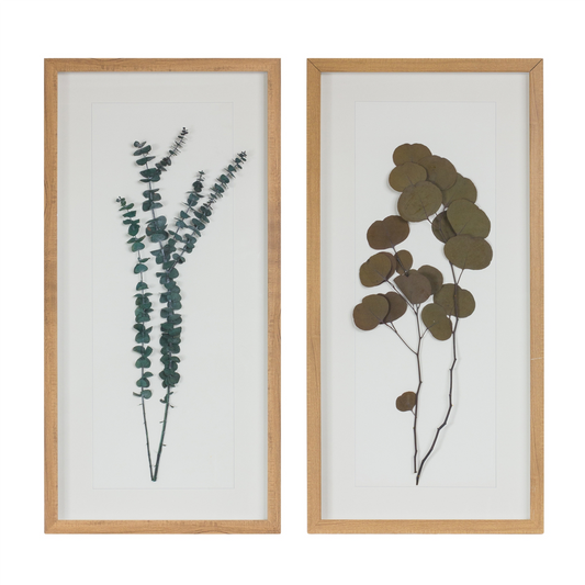 Dried Eucalyptus Frame (Set of 2)