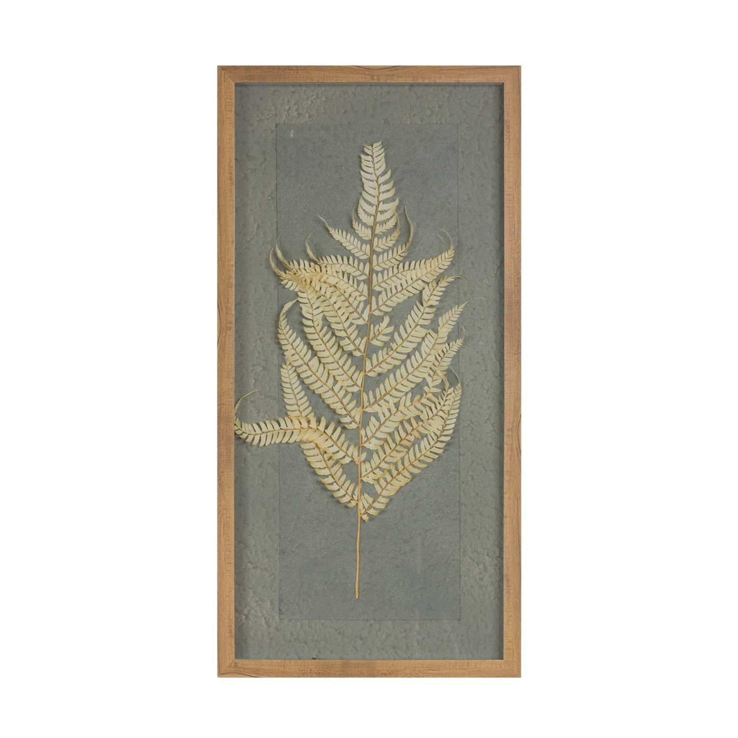 Dried Fern Frame (Set of 2) – Badding Farm Market and Garden Center