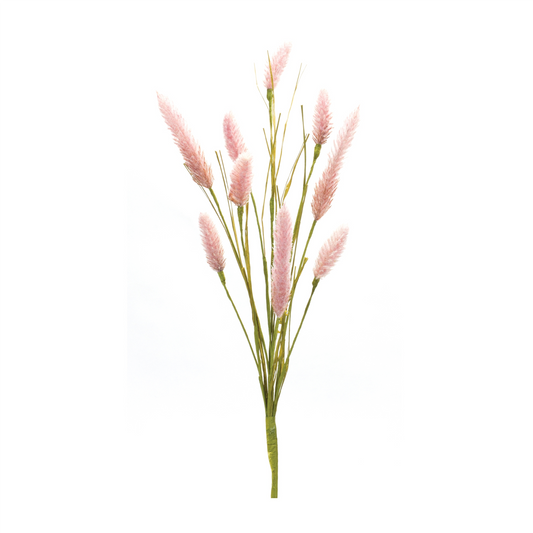 Foxtail Spray (Set of 6)