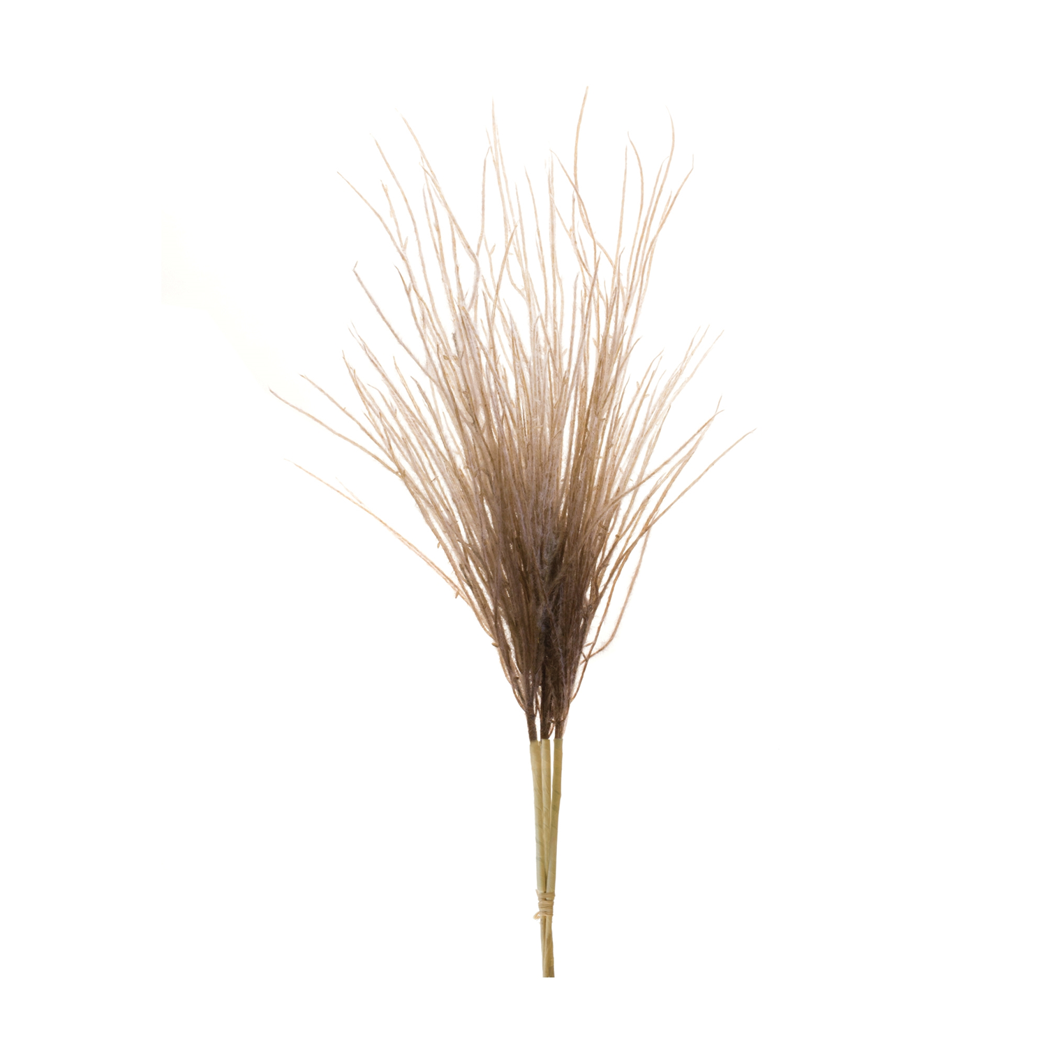 Grass Plume Bundle (Set of 2) – Badding Farm Market and Garden Center
