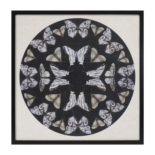 Framed Butterfly Print 25"SQ