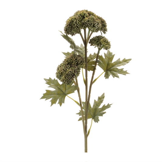Sedum Succulent Spray (Set of 6)