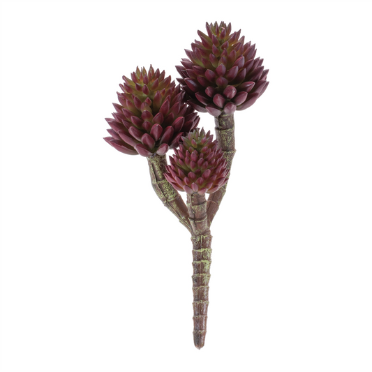 Succulent Plant Pick (Set of 6)