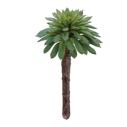 Succulent Plant Pick (Set of 12)