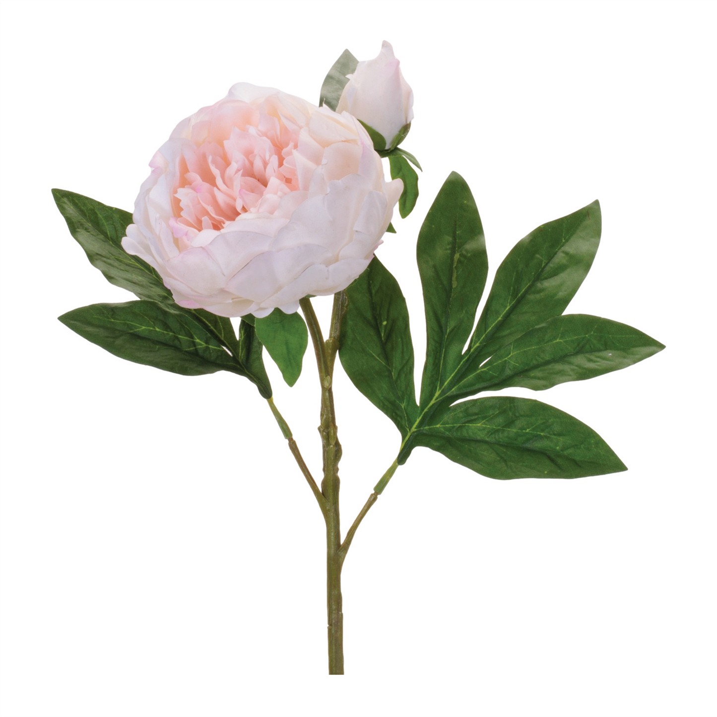 Peony Floral Spray (Set of 6)