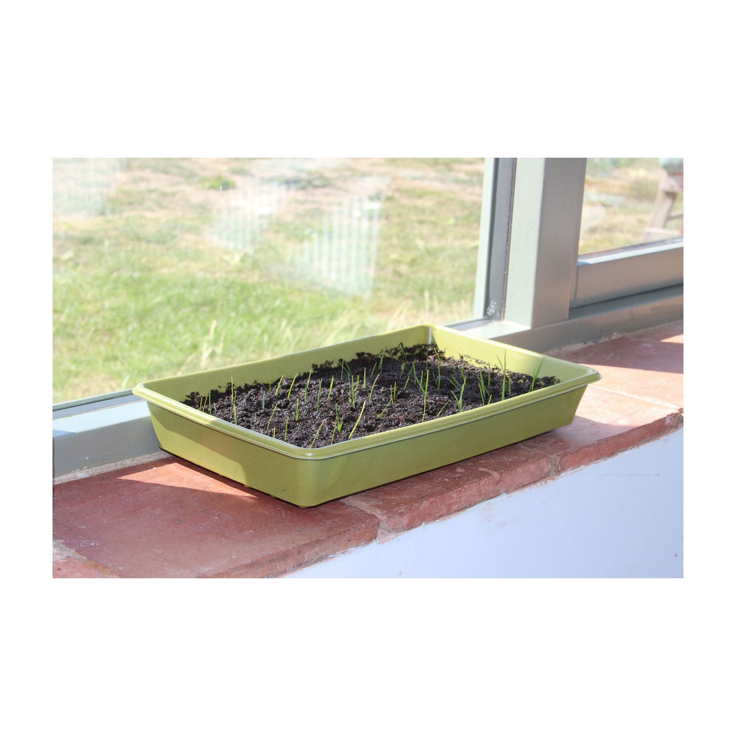 Bamboo Seed Tray