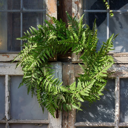 Mixed Fern Grapevine Wreath 24"D