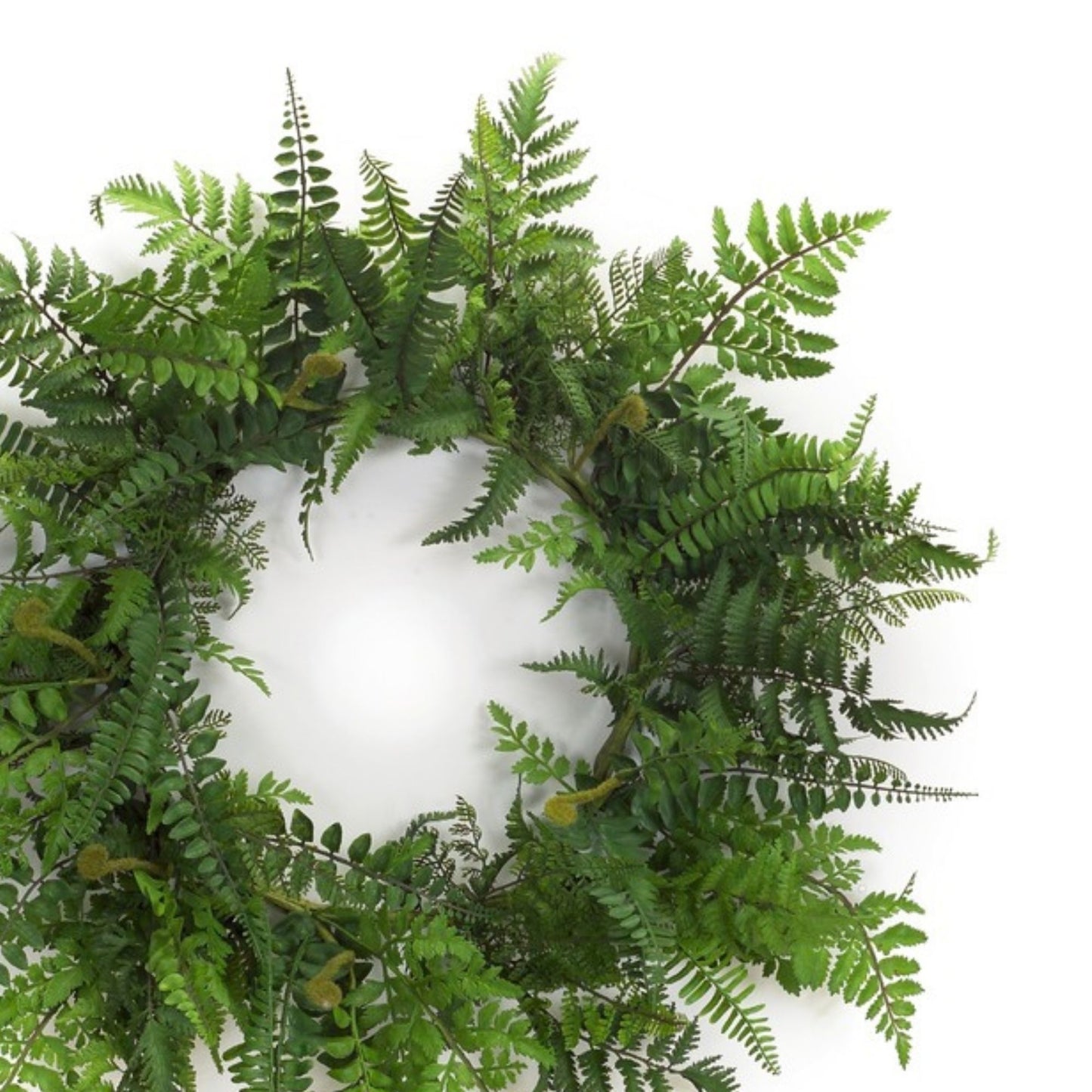 Mixed Fern Grapevine Wreath 24"D
