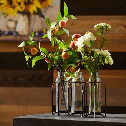 Bottle Vases in Iron Holder 19.75"L