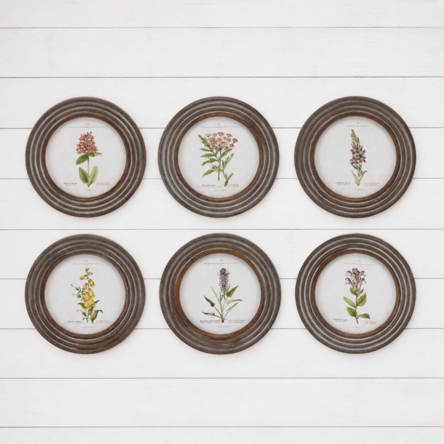 Round Framed Floral Print (Set of 6)