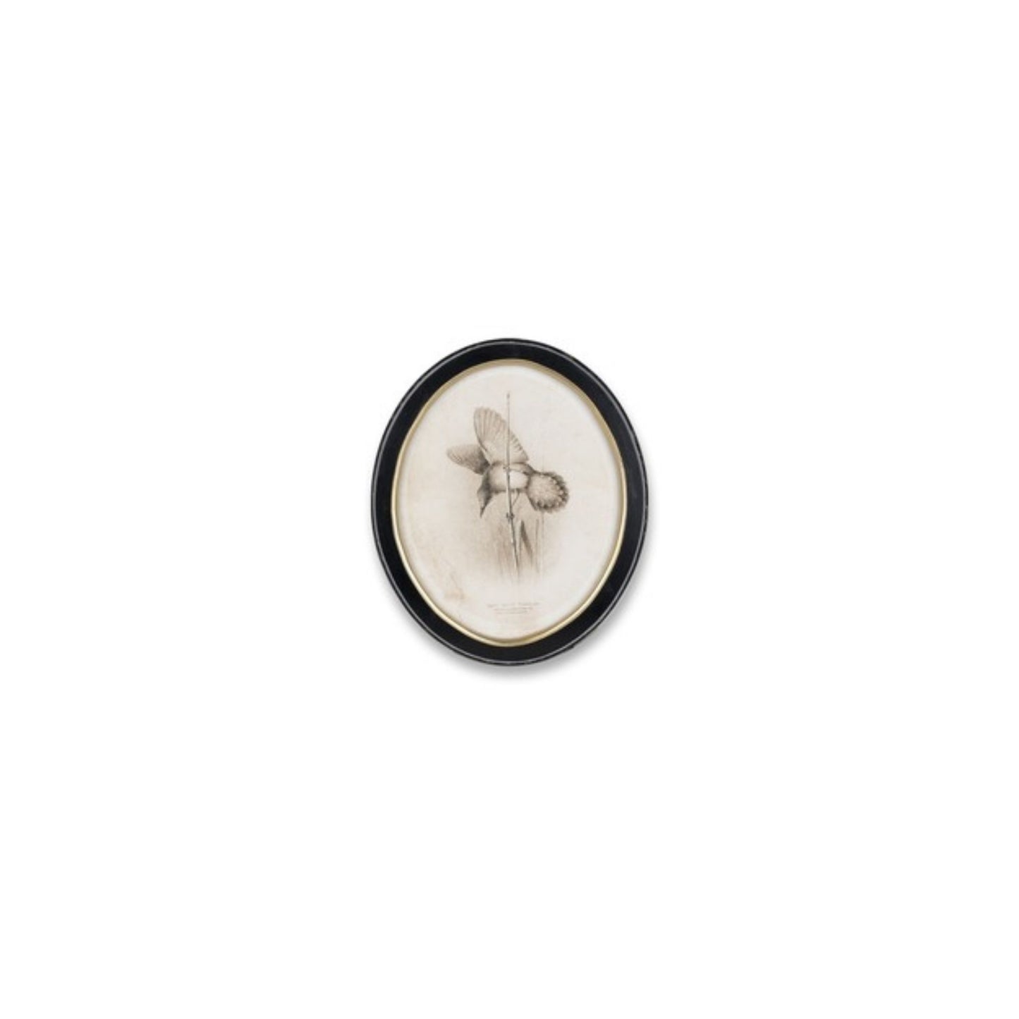 Framed Bird Print (Set of 4)