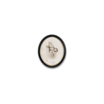 Framed Bird Print (Set of 4)