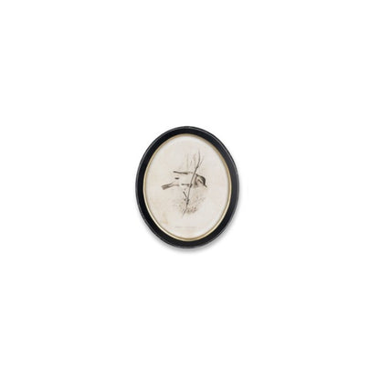 Framed Bird Print (Set of 4)