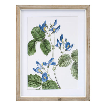 Wood Framed Floral Print (Set of 4)