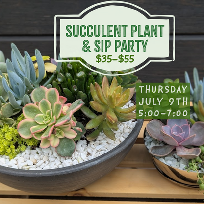 7.9: Succulent & Sip: After Hours Succulent Party