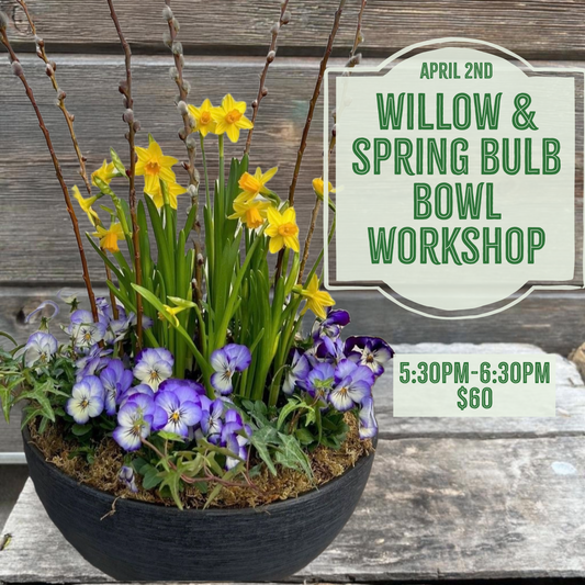 4.2: Spring Bulb Willow Bowl Workshop
